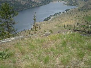Top of intermediate peak looking down on community alongside Vaseux Lake, Eagle Bluff Trail 2013-05.